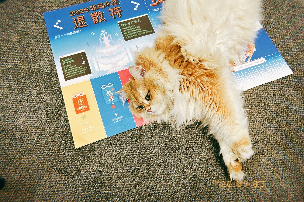 赞意,报纸,企业文化 赞意,报纸,企业文化