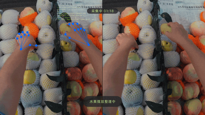 18.gif