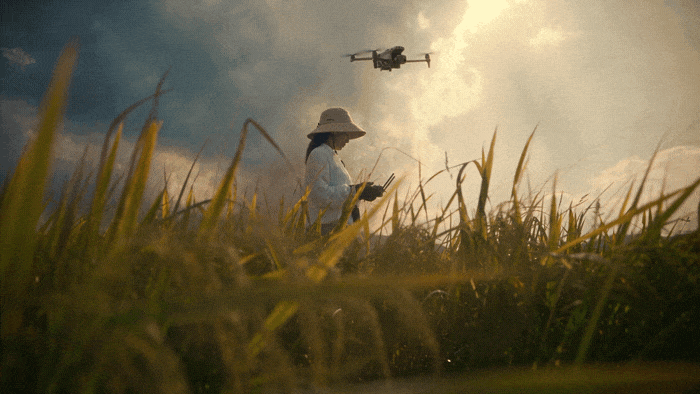 30.gif
