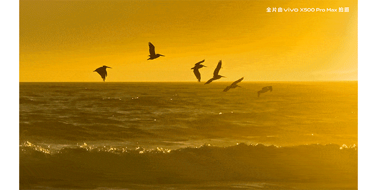 1790246014911836.gif