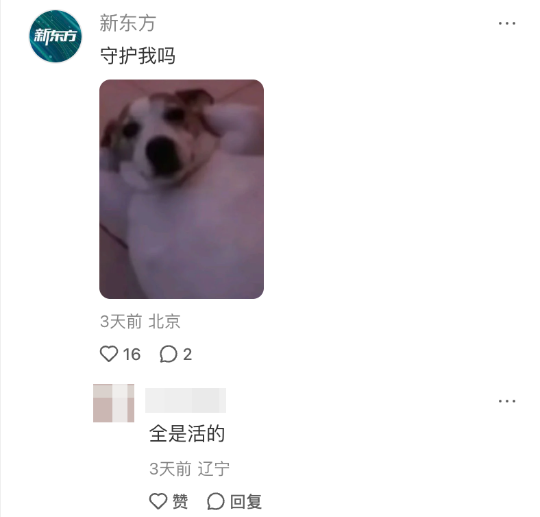 1792135743372386.png 1792135743372386.png