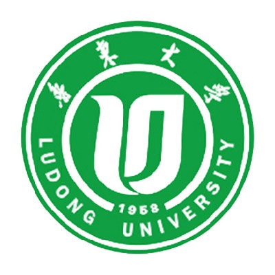 鲁东大学